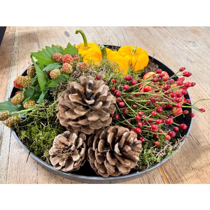 Hagebuttenzweige – 35 cm, rote Hagebutte