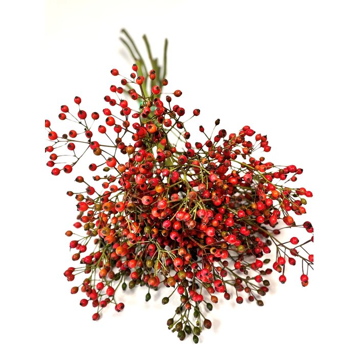 Hagebuttenzweige – 35 cm, rote Hagebutte