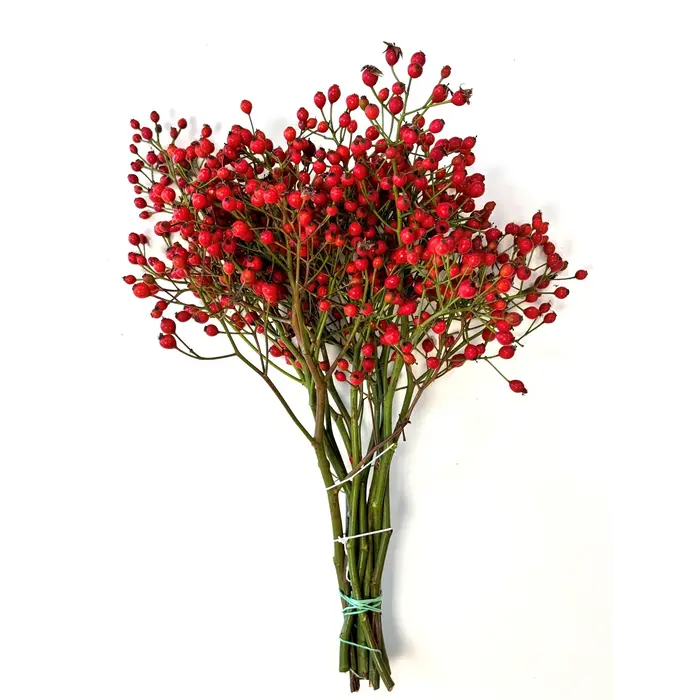 Hagebuttenzweige – 40cm, rote Hagebutte