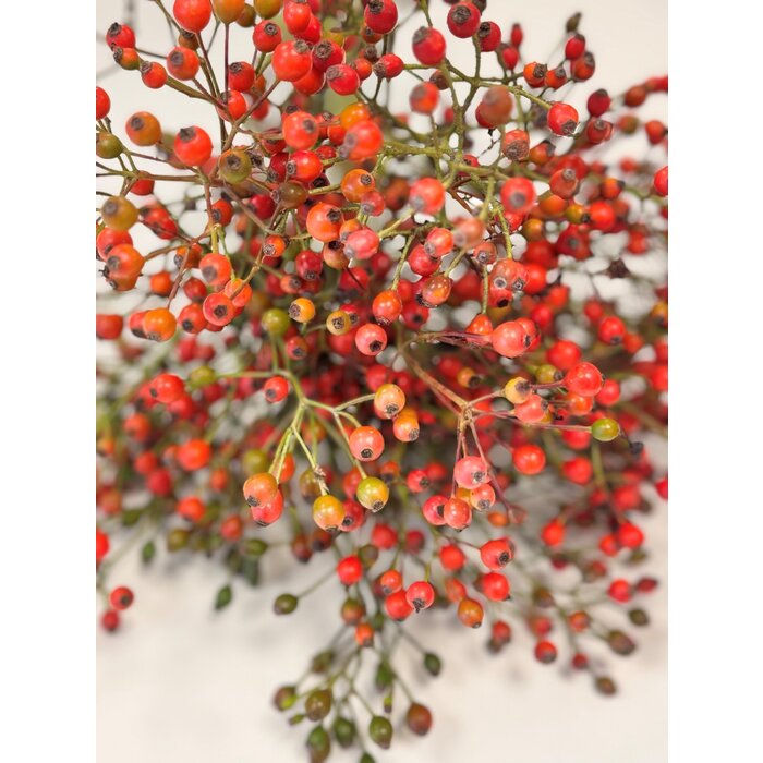 Hagebuttenzweige – 60cm, rote Hagebutte