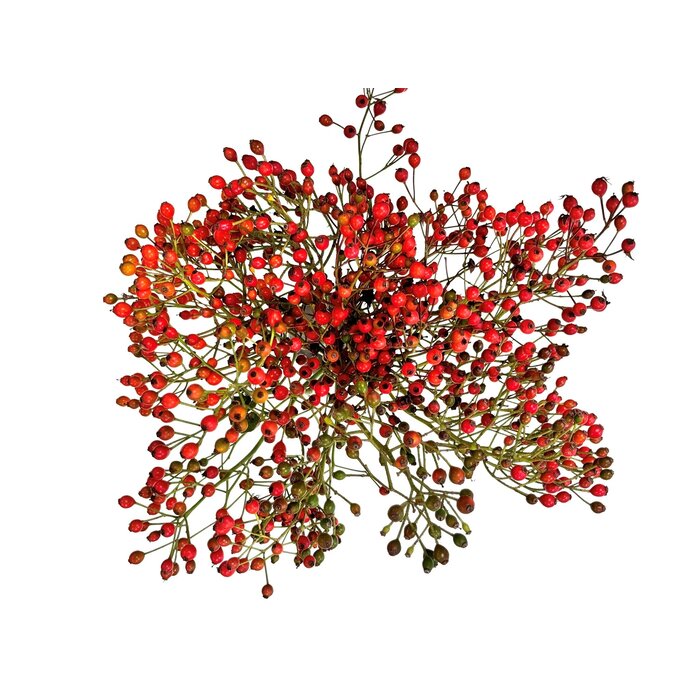 Hagebuttenzweige – 60cm, rote Hagebutte