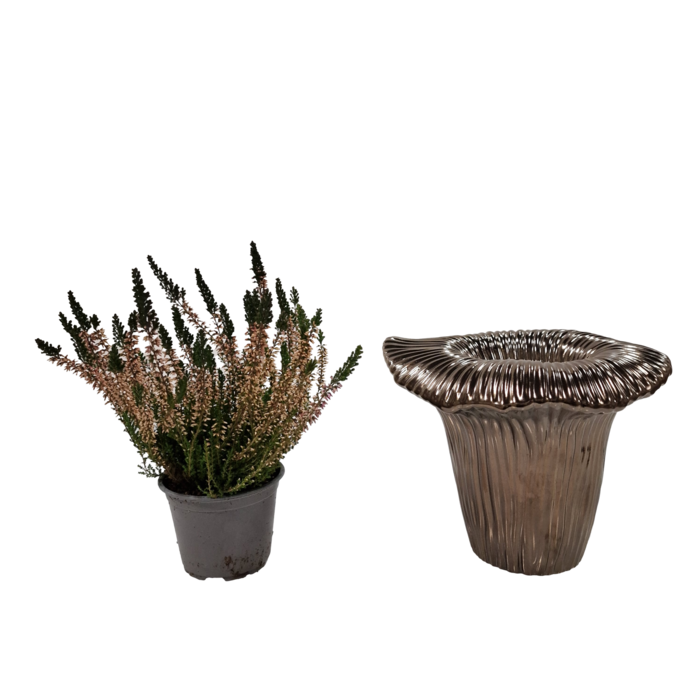 Arum vase 23x23x18cm