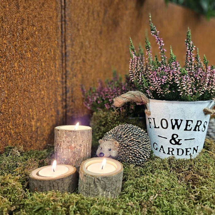 Zinkblumentoph mit Ohren 14x12cm