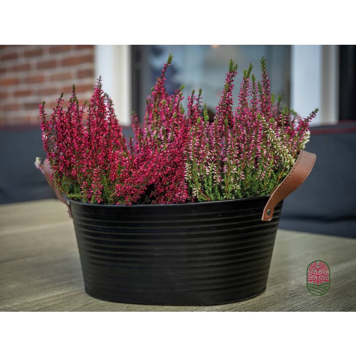 Zinkblumentopf oval matt schwarz 23x18x12cm