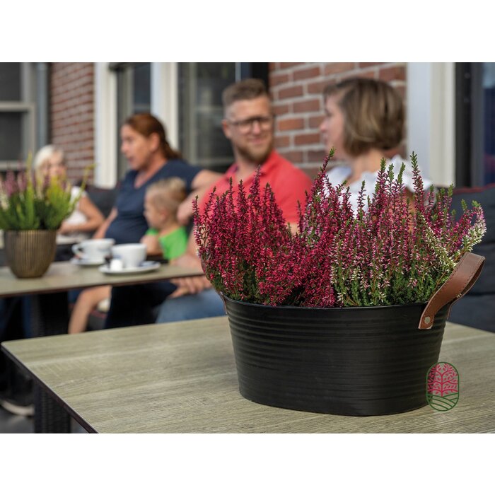 Zinkblumentopf oval matt schwarz 23x18x12cm