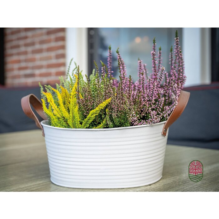 Zinkblumentopf oval mattweiß 23x18x12cm