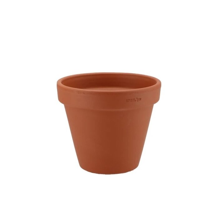 Terra Rotstein Blumentopf  17cm
