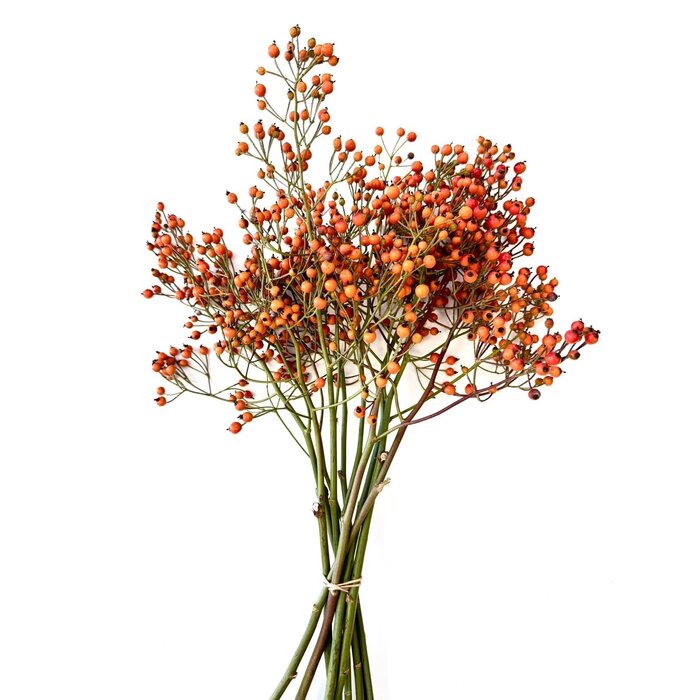 Hagebuttenzweige – 60cm, orange Hagebutte