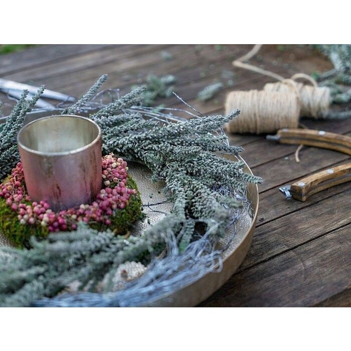 Besenheide| Calluna vulgaris 'Fluffy' P6