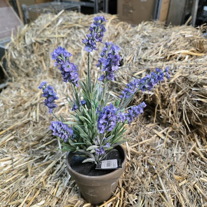 Kunststoff Lavendel im Topf H33cm