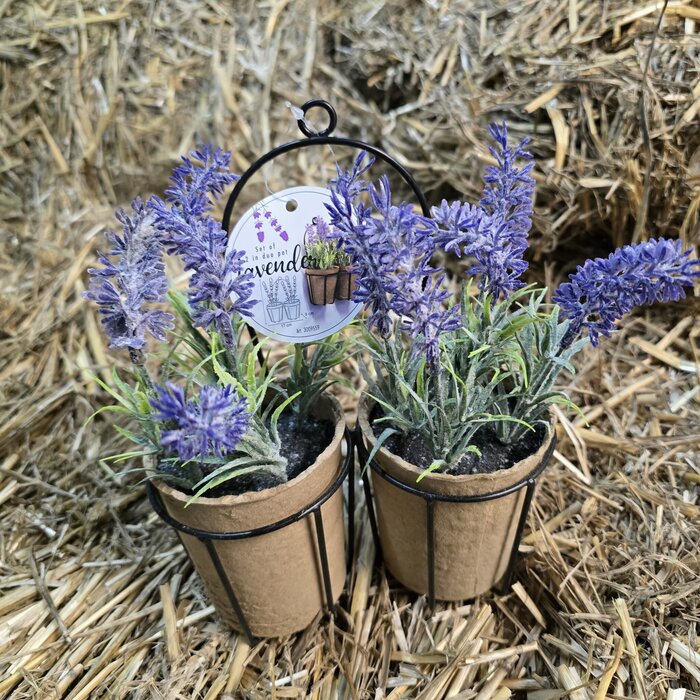 Kunststoff Lavendel im Topf H16cm