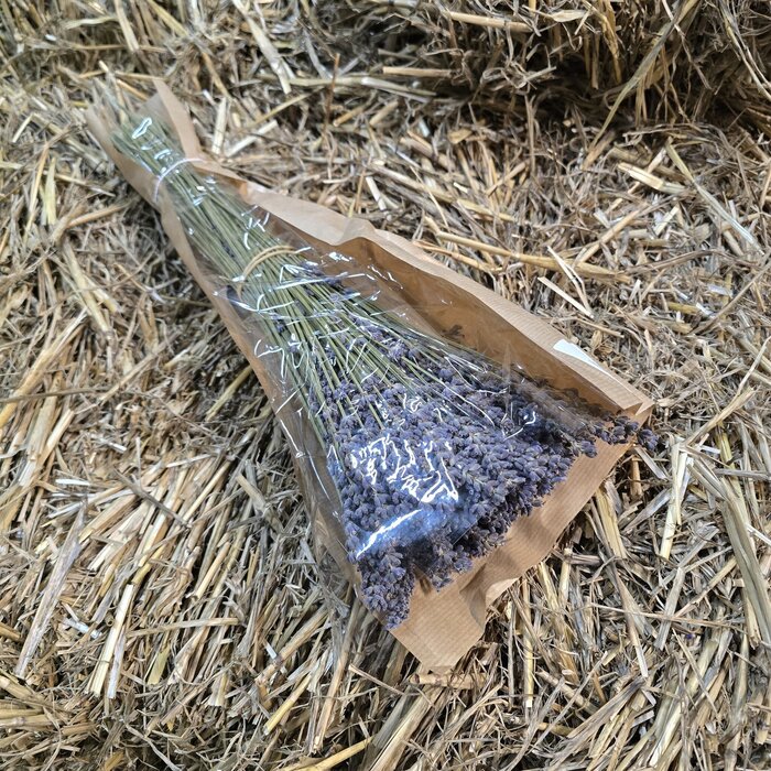 Getrockneter Lavendel 100 Gramm