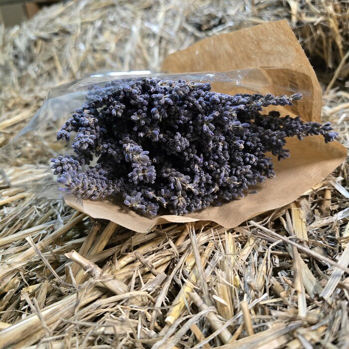 Getrockneter Lavendel 100 Gramm