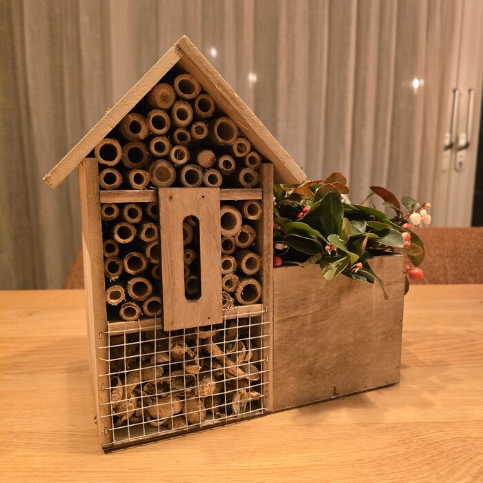 Insektenhotel mit Gaultheria Procumbens 'Big Berry'