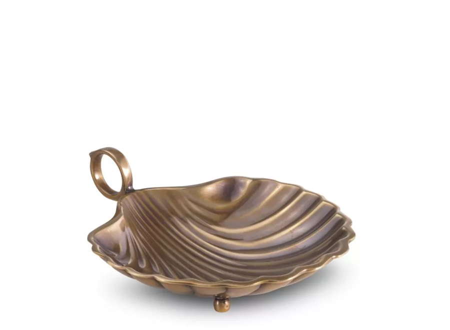 Tray Shell - S - Brass