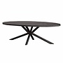 Selva mango ovale eettafel top 1,5 / 2,5 - 220<br />
Mango rough black / metal natural