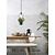 It's about RoMi Hanglamp Florence met plantenhouder ijzer/glas zwart/helder