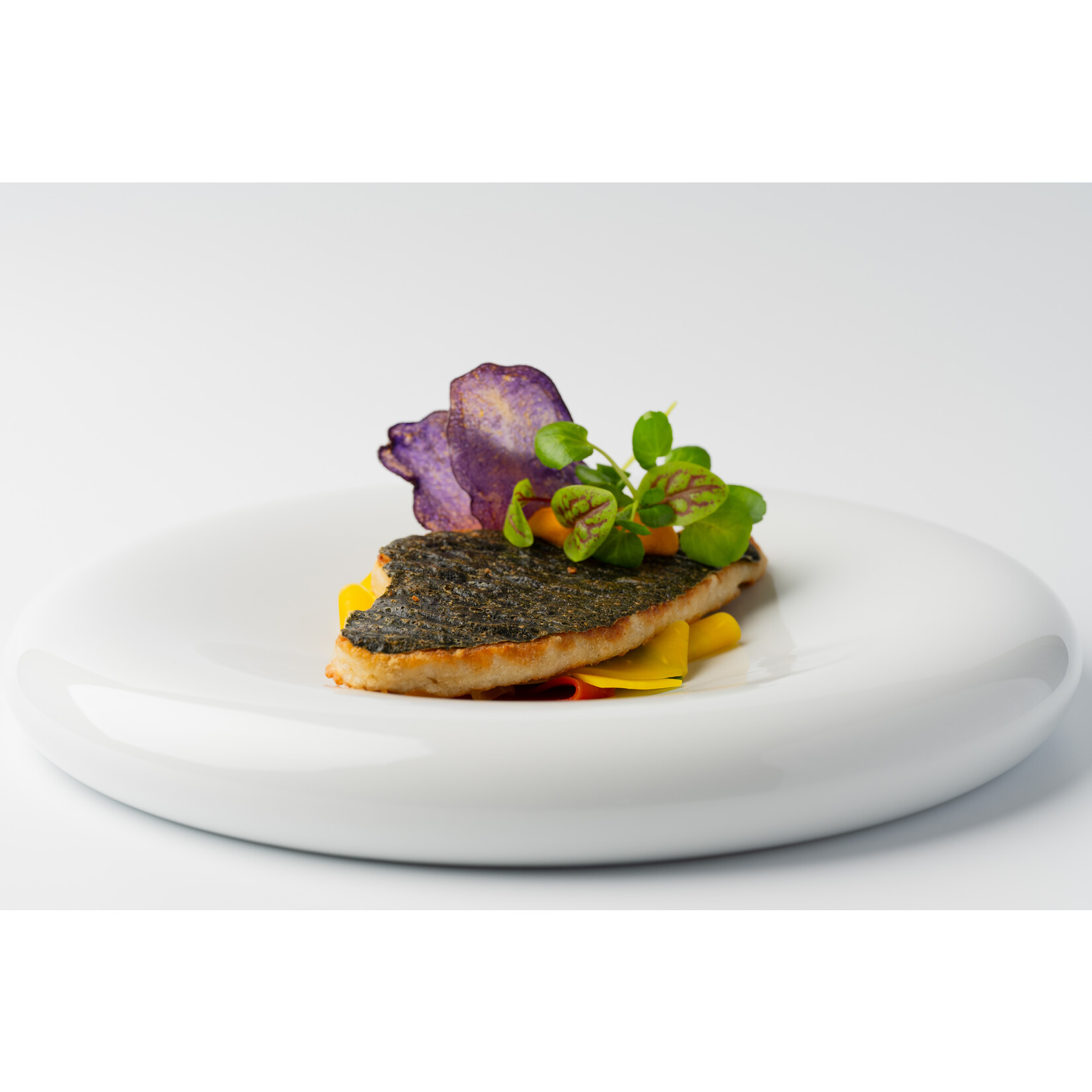 Vegan Visboer - Vegan Fisherman Vegan Visboer VisFilet op Zeewierhuid | Award-winning plant-based visalternatief!