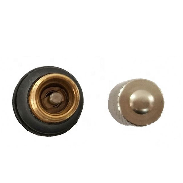 Proline Tubeless Ventiel TR411 t.b.v. Step / Scooter 8,8mm