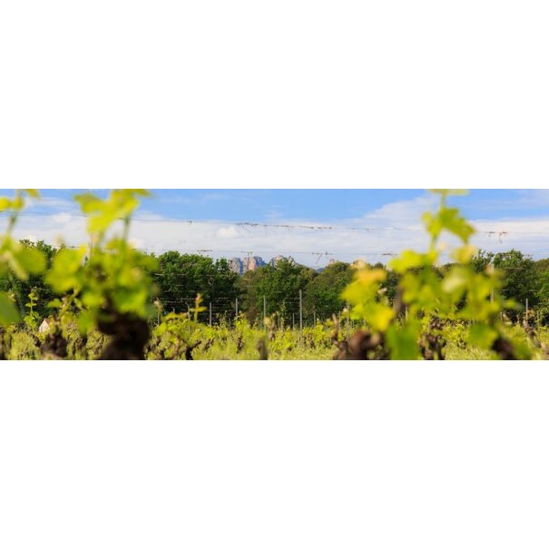 Domaine de Marchandise 2022 Marchandise Rouge Côtes de Provence