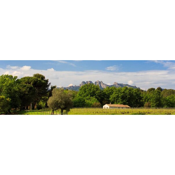 Domaine de Marchandise 2022 Marchandise Rouge Côtes de Provence