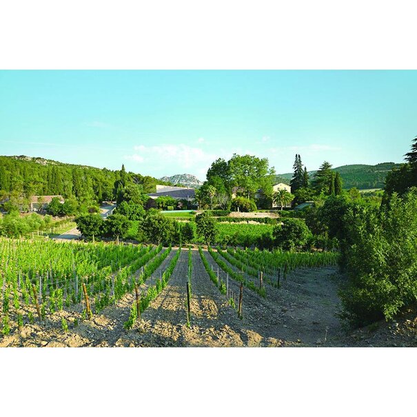 2025 Haut Gléon, Vallée du Paradis Rosé