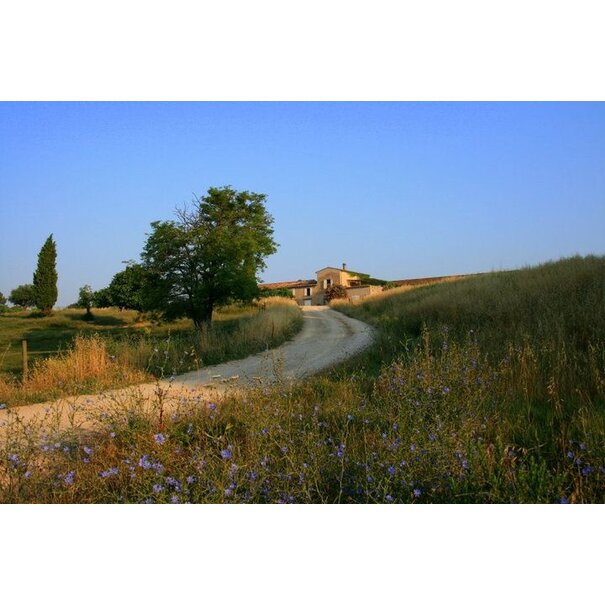 Domaine de Marchandise 2024 Marchandise Côtes de Provence Rosé
