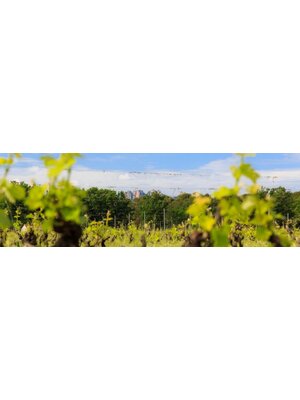 Domaine de Marchandise 2023 Marchandise Côtes de Provence Rosé