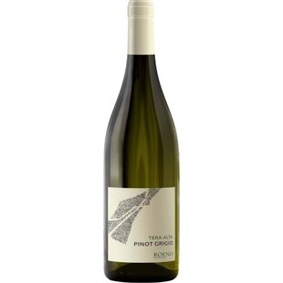 2025  Roeno Pinot Grigio Tera Alta