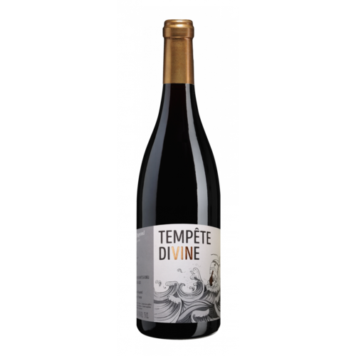 2021 Philippe Dupond Tempête Divine Brouilly 2021 Philippe Dupond Tempête Divine Brouilly