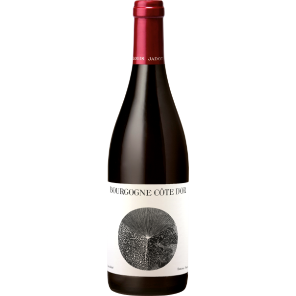 2021 Louis Jadot Côte d'Or Bourgogne