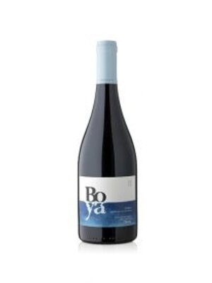 2019  Boya Cabernet Franc