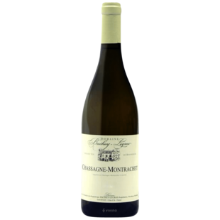2023 Domaine Bachey-Legros Chassagne-Montrachet