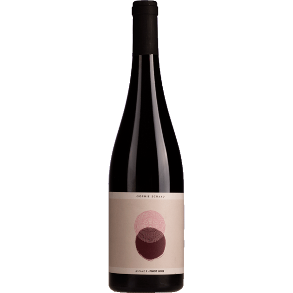 2023 Sophie Schaal Pinot Noir