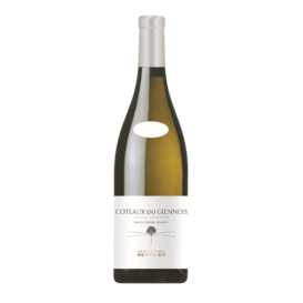 2024 Clement Et Florian Berthier Coteaux Du Giennois Sauvignon Blanc