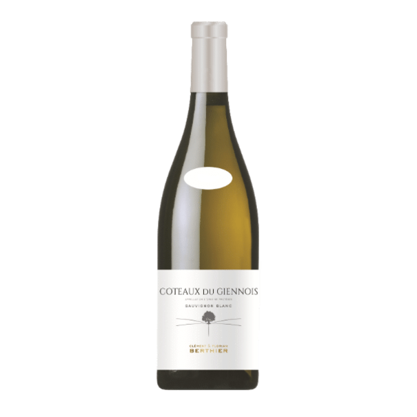 Vignobles Berthier 2024 Clement Et Florian Berthier Coteaux Du Giennois Sauvignon Blanc