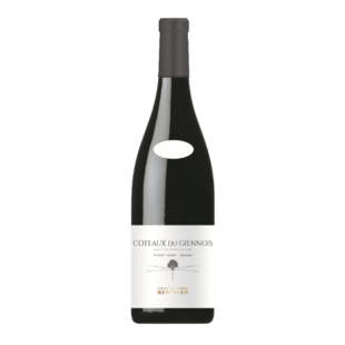 2023 Clement Et Florian Berthier Coteaux Du Giennois Pinot Noir - Gamay