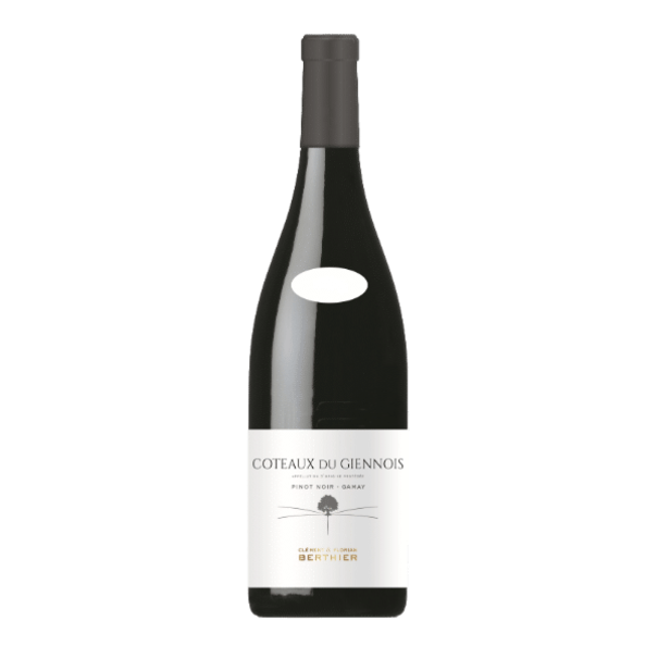 Vignobles Berthier 2023 Clement Et Florian Berthier Coteaux Du Giennois Pinot Noir - Gamay