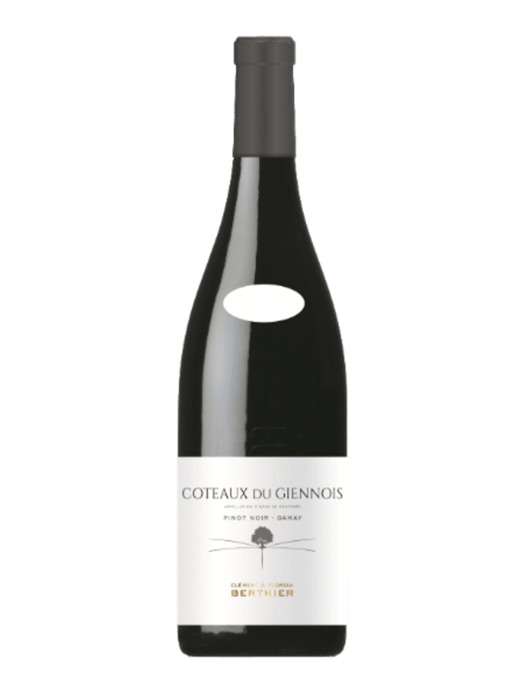 Vignobles Berthier 2021 Clement Et Florian Berthier Coteaux Du Giennois Pinot Noir - Gamay