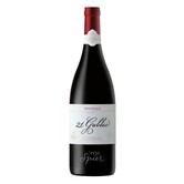 2019 Spier 21 Gables Pinotage