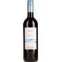 2023 Cielo Merlot Raboso