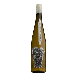 Blank Bottle Orbitofrontal Cortex 2022