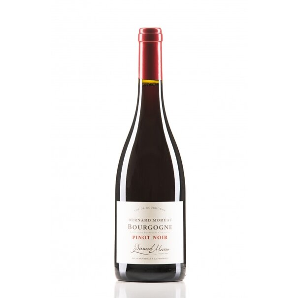 2023 Domaine Bernard Moreau Et Fils Bourgogne Pinot Noir