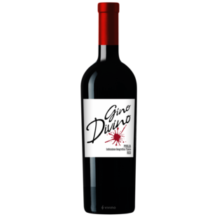 Gino Divino Red N.V.