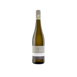 2025 Wagner-Stempel Grüner Silvaner
