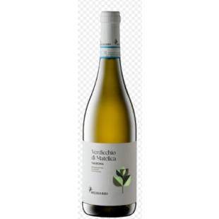 2024 Belisario Valbona Verdicchio di Matelica