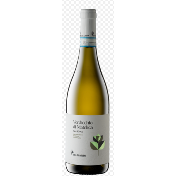 2024 Belisario Valbona Verdicchio di Matelica