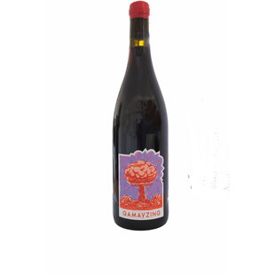 2023 Valentin Rossignol Beaujolais Lantignie Gamayzing