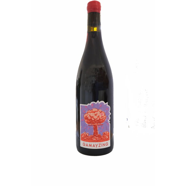 Domaine Rossignol-Février Père & Fils 2023 Valentin Rossignol Beaujolais Lantignie Gamayzing