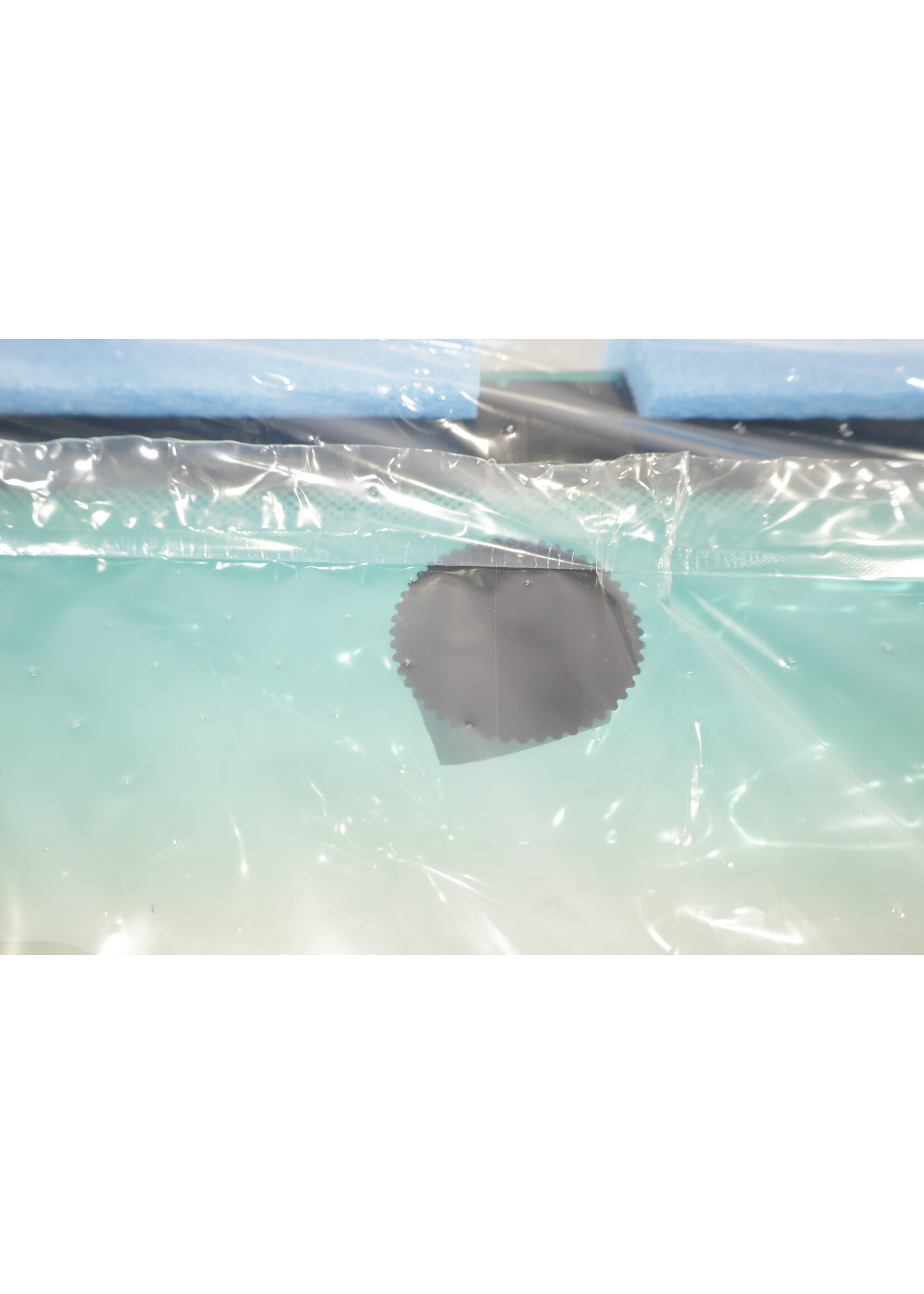 BMW BMW X5 E53 OEM Windschutzscheibe mit Sonnenschutzband NEU! 51318408529 8408529